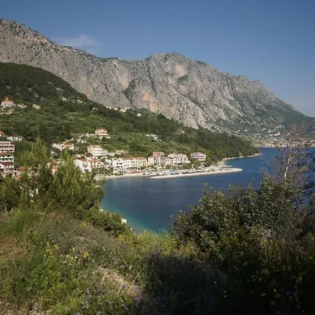 Apartment Apartment Podgora Podgora (Split-Dalmatia)